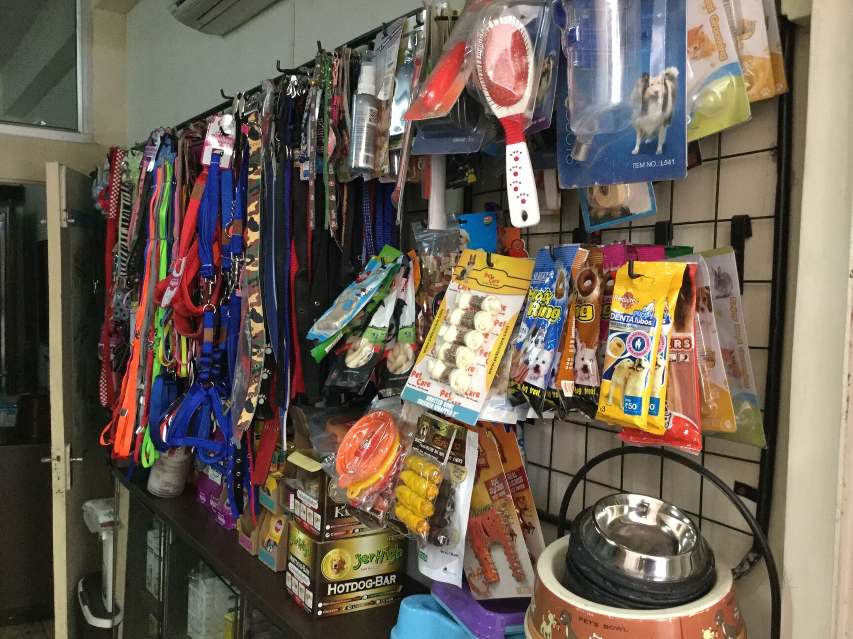 apollo veterinary clinic