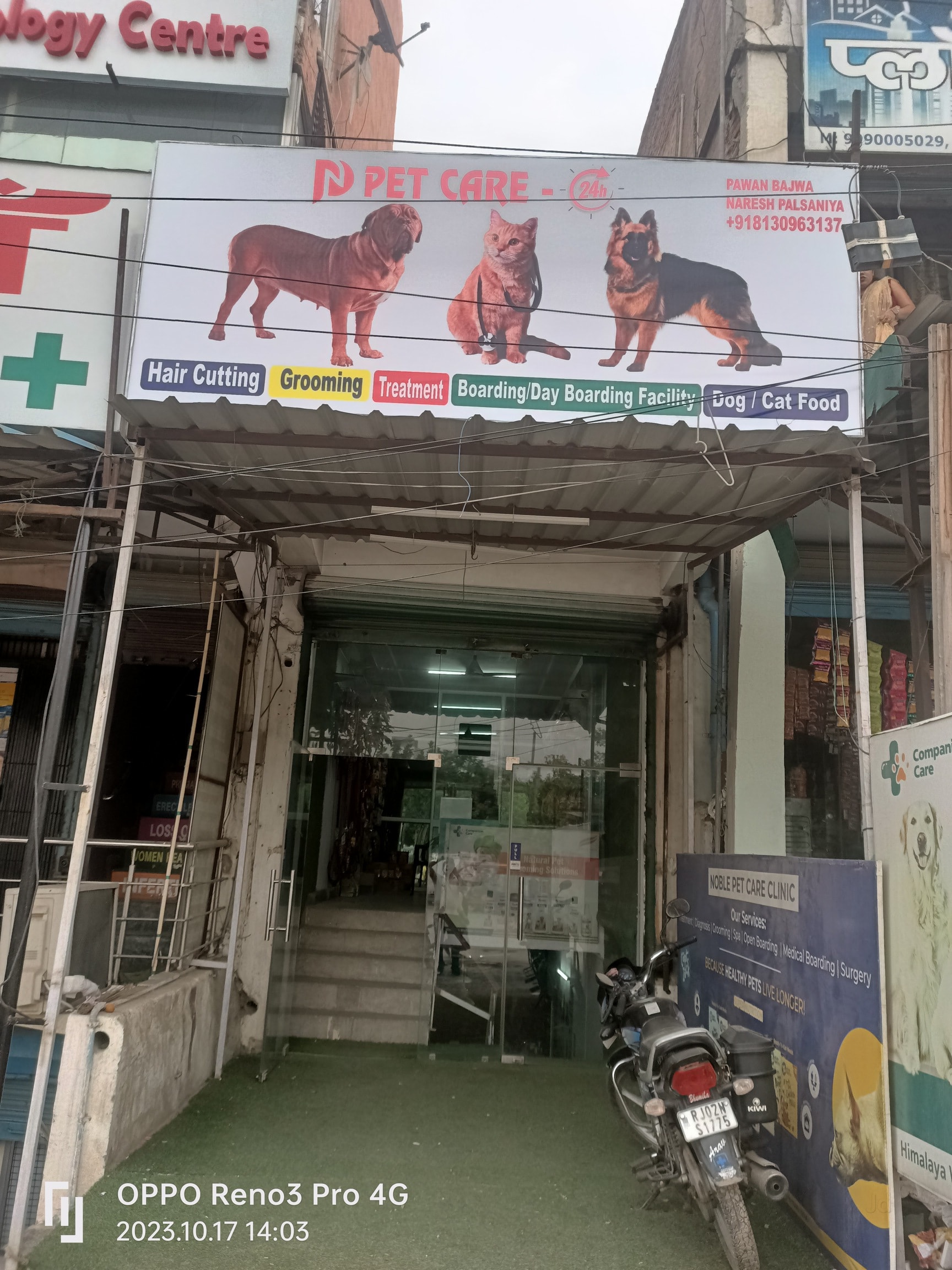 Animal Emergency Hospital Near Me 24hr Pet Clinic P N Pet Care