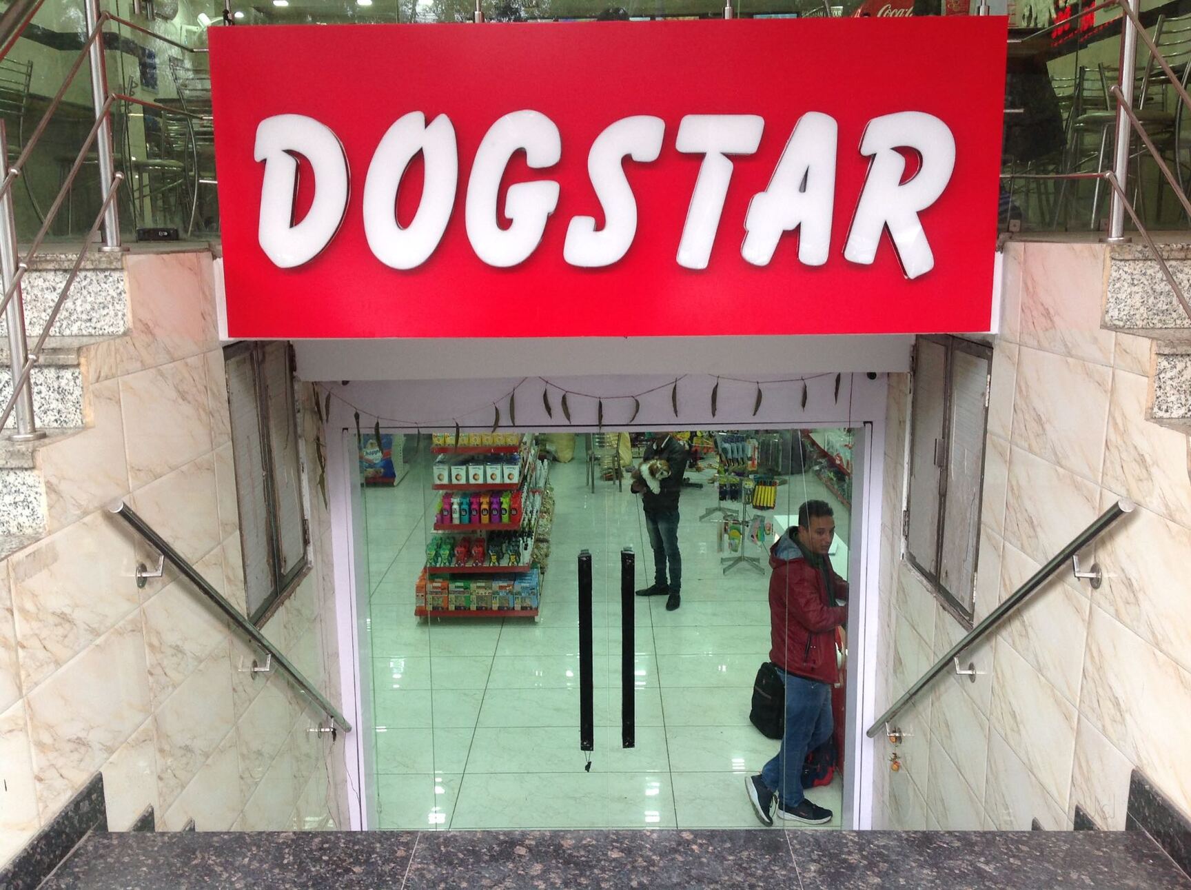 Top Pet Shops in Rohini Sector 6, Delhi Best Pet Store & Suppliers