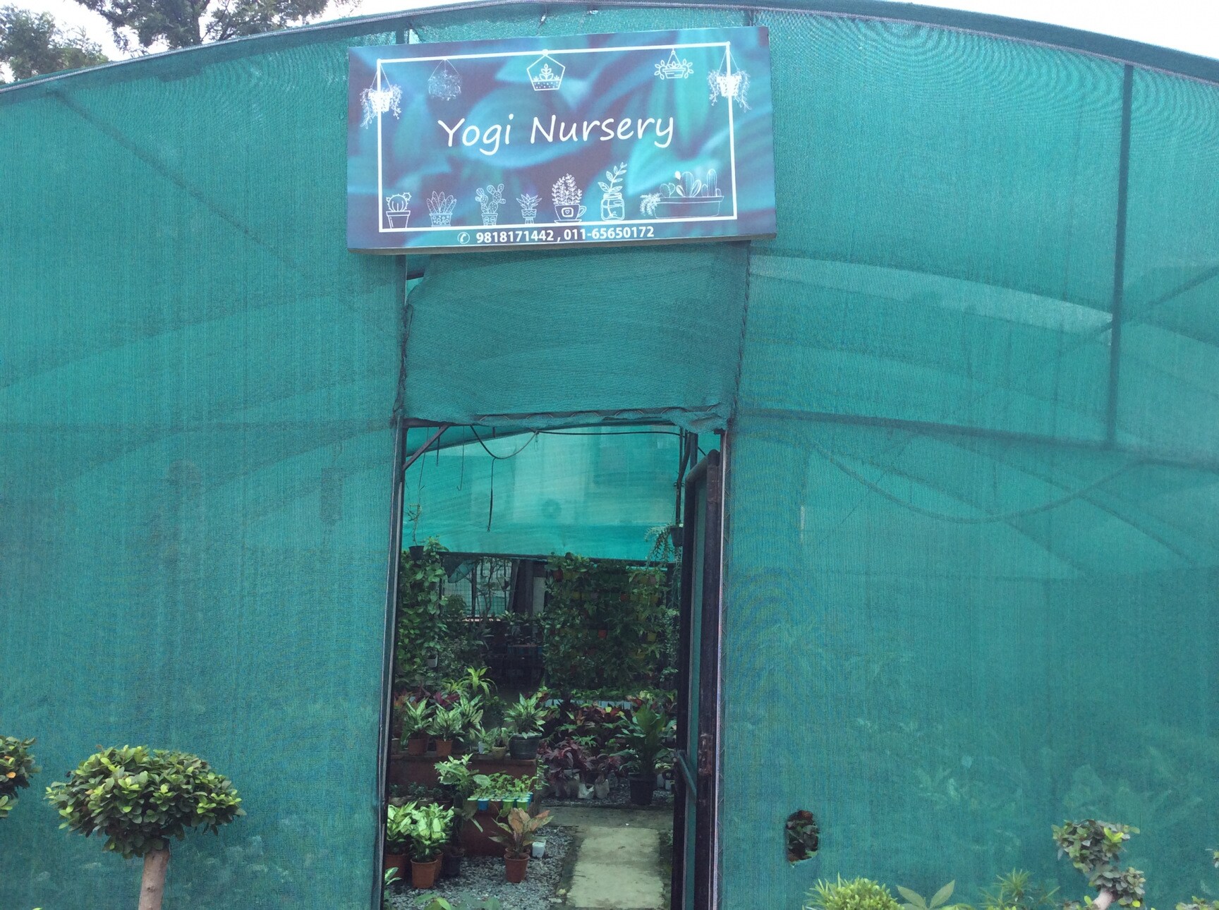 Catalogue Chirag Nursery in Chirag Delhi , Delhi Justdial