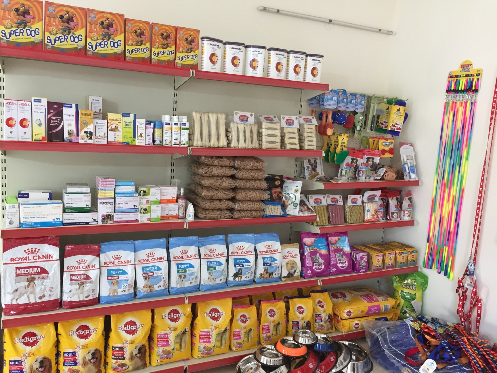 People For Animals Veterinary Doctors Book Appointment Online Veterinary Doctors In Garhi Harsaru Gurgaon Delhi Justdial