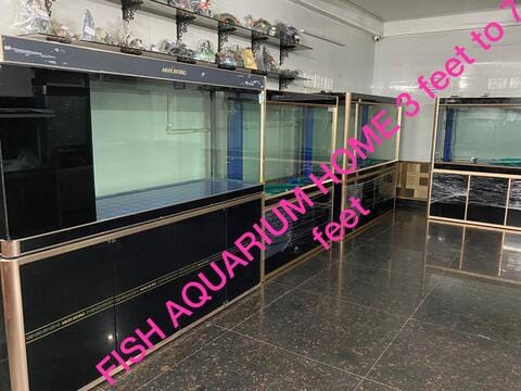 Fish home 2024 laxmi nagar