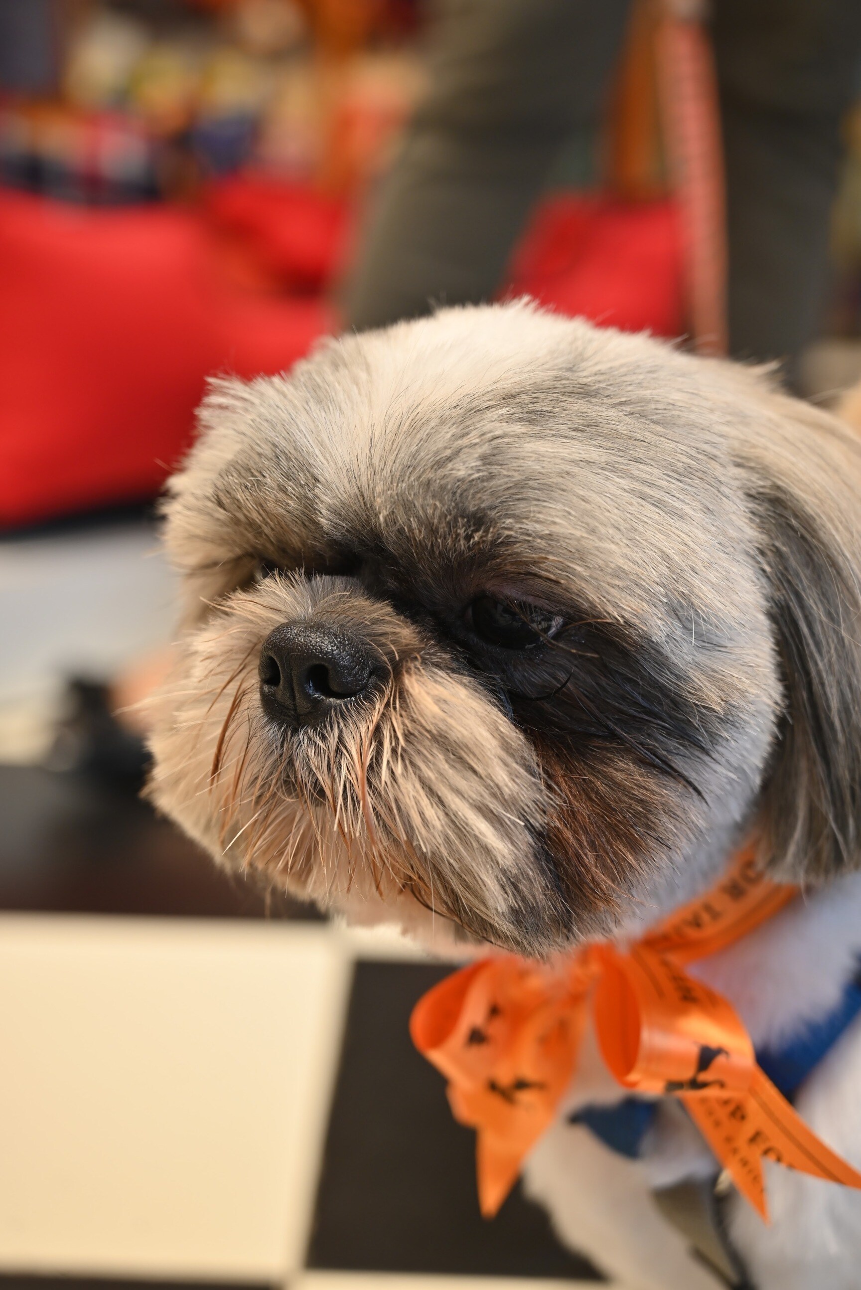 Find list of Heads Up For Tails in Saharanpur near me Justdial