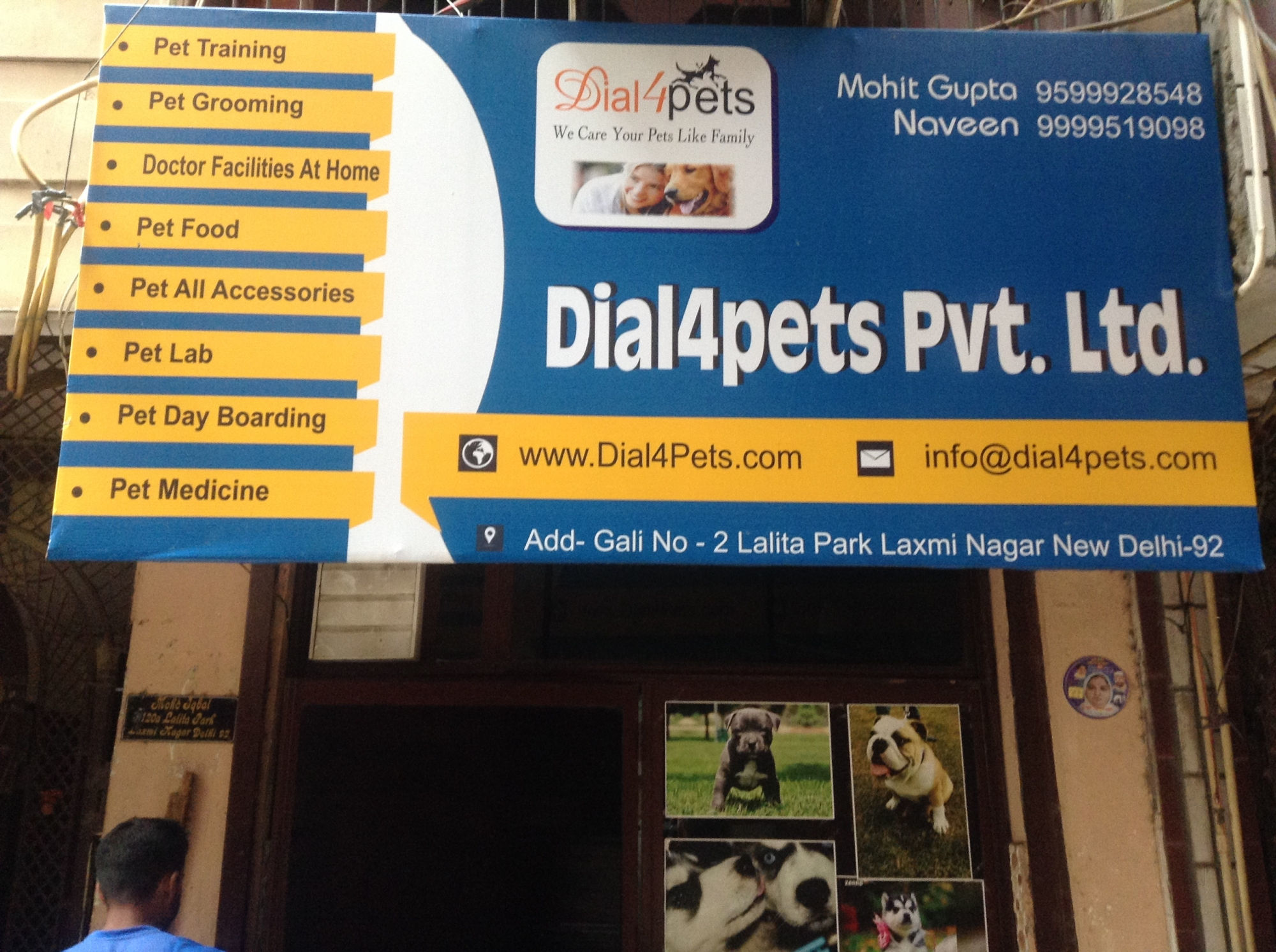 Top Pet Shops For African Grey Parrot in Kalkaji Best Pet Shops For