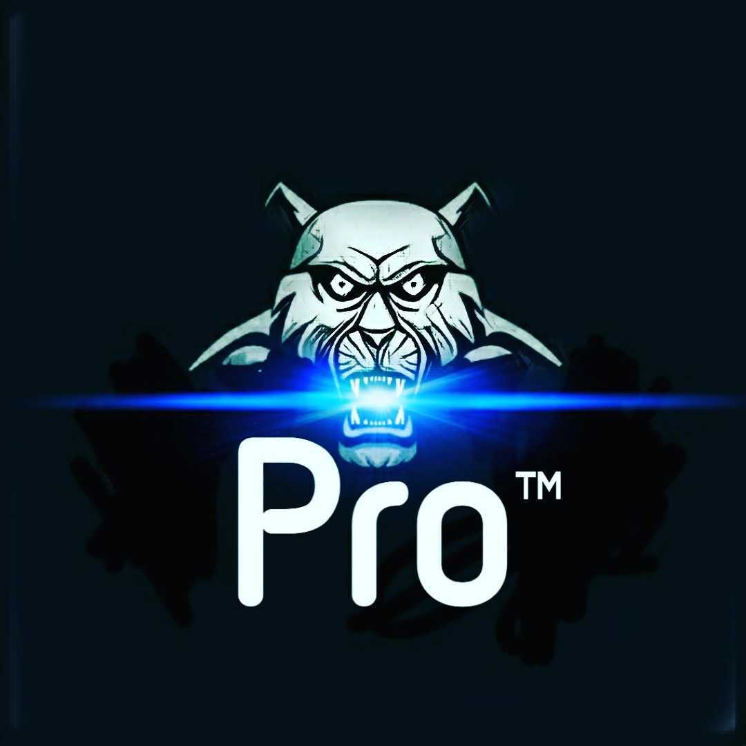 Top Gymnastic Classes in Rohini Best Gymnastic Teachers Delhi Justdial