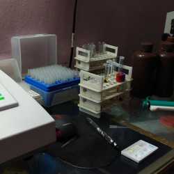 Lab view 10