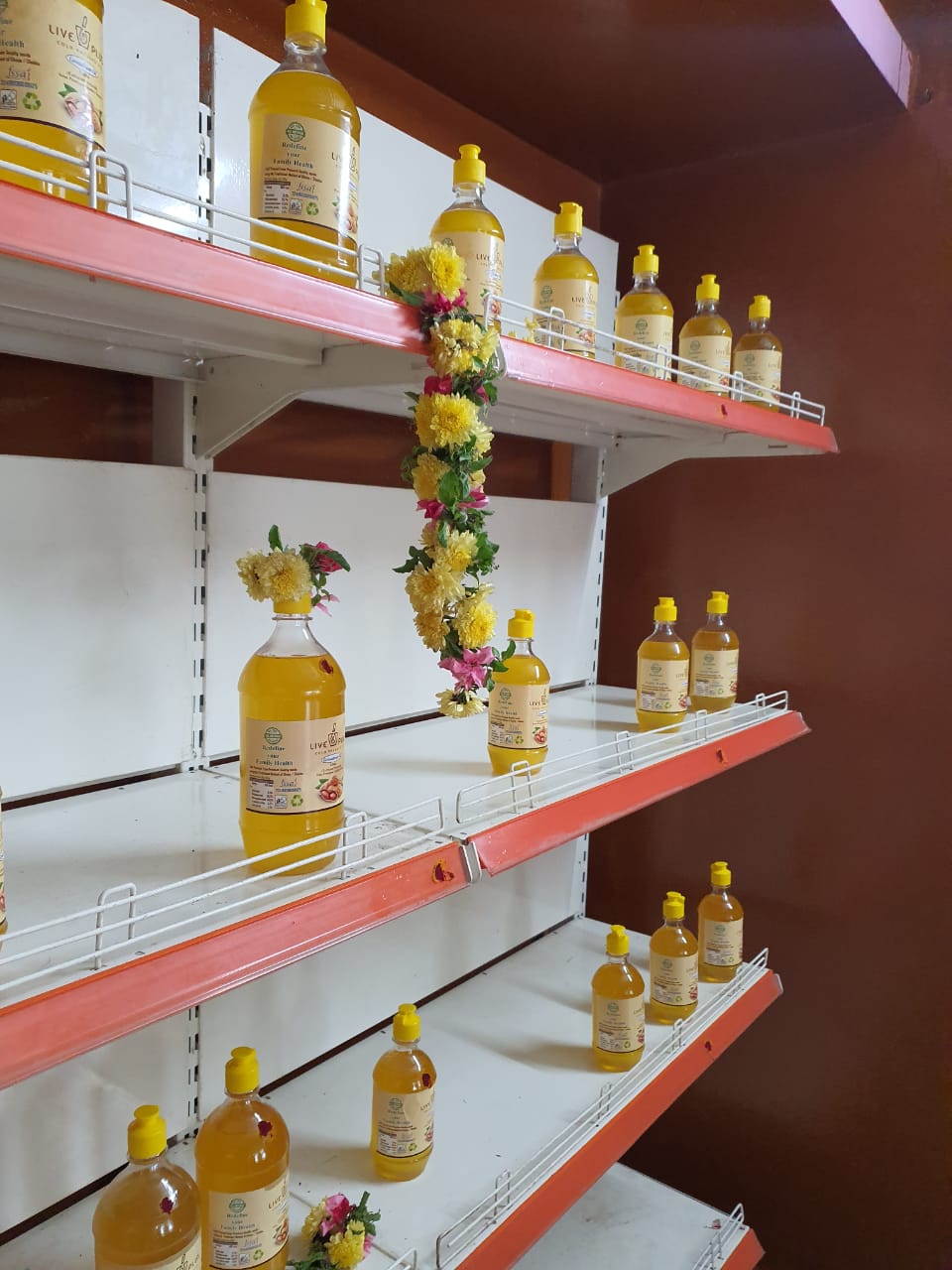 3000 Ml Pink Roti Dabba 3000 Ml Pink Casserole Price Starting