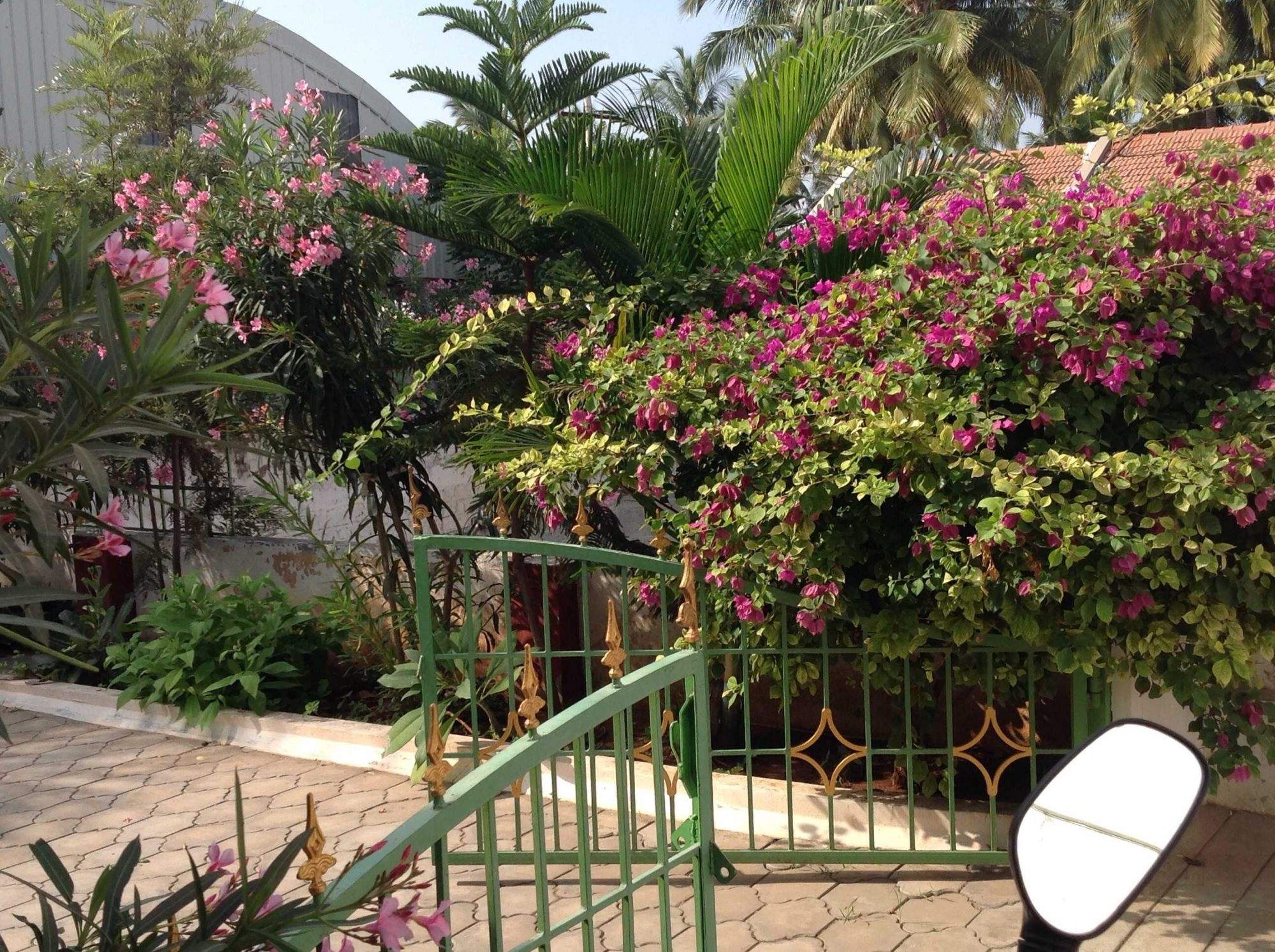 Catalogue LK nursery Garden in Arasampatti , Dharmapuri Justdial