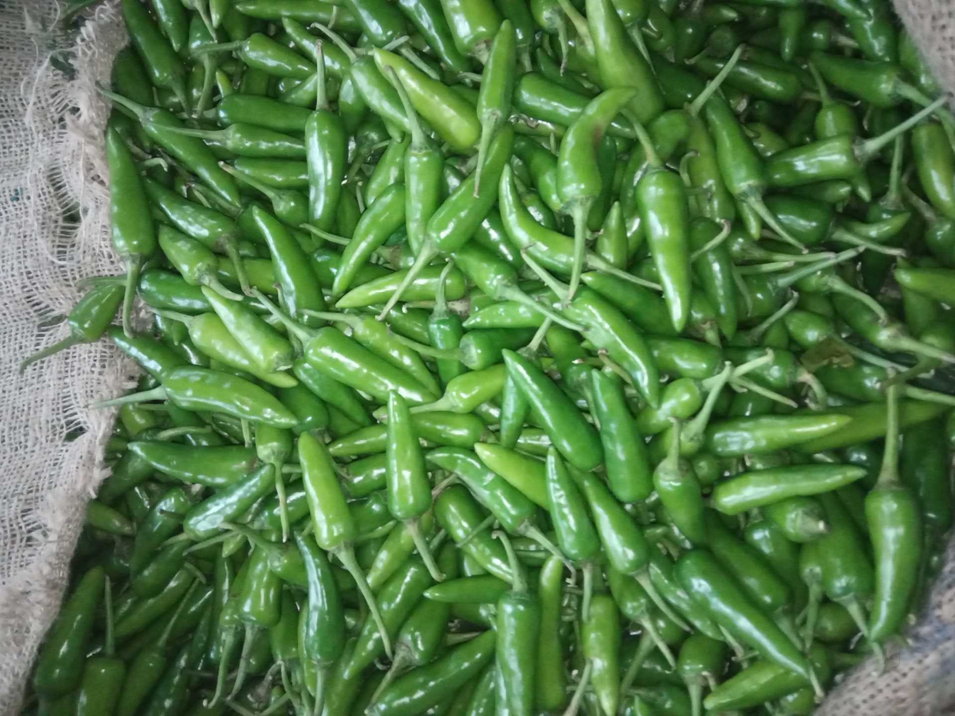 Top Commission Agents For Vegetable in Athirampuzha Best Vegetable