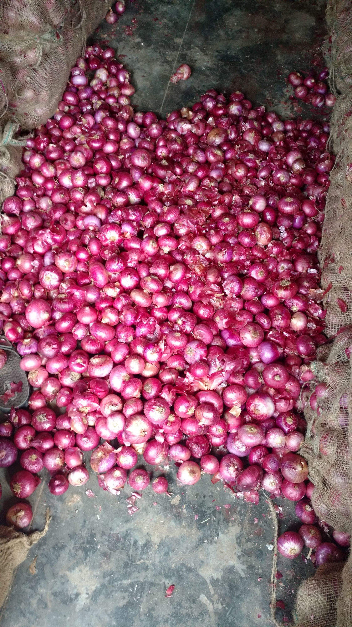 Aloo Raita in Trichy - Bulk Potato Suppliers & Dealers