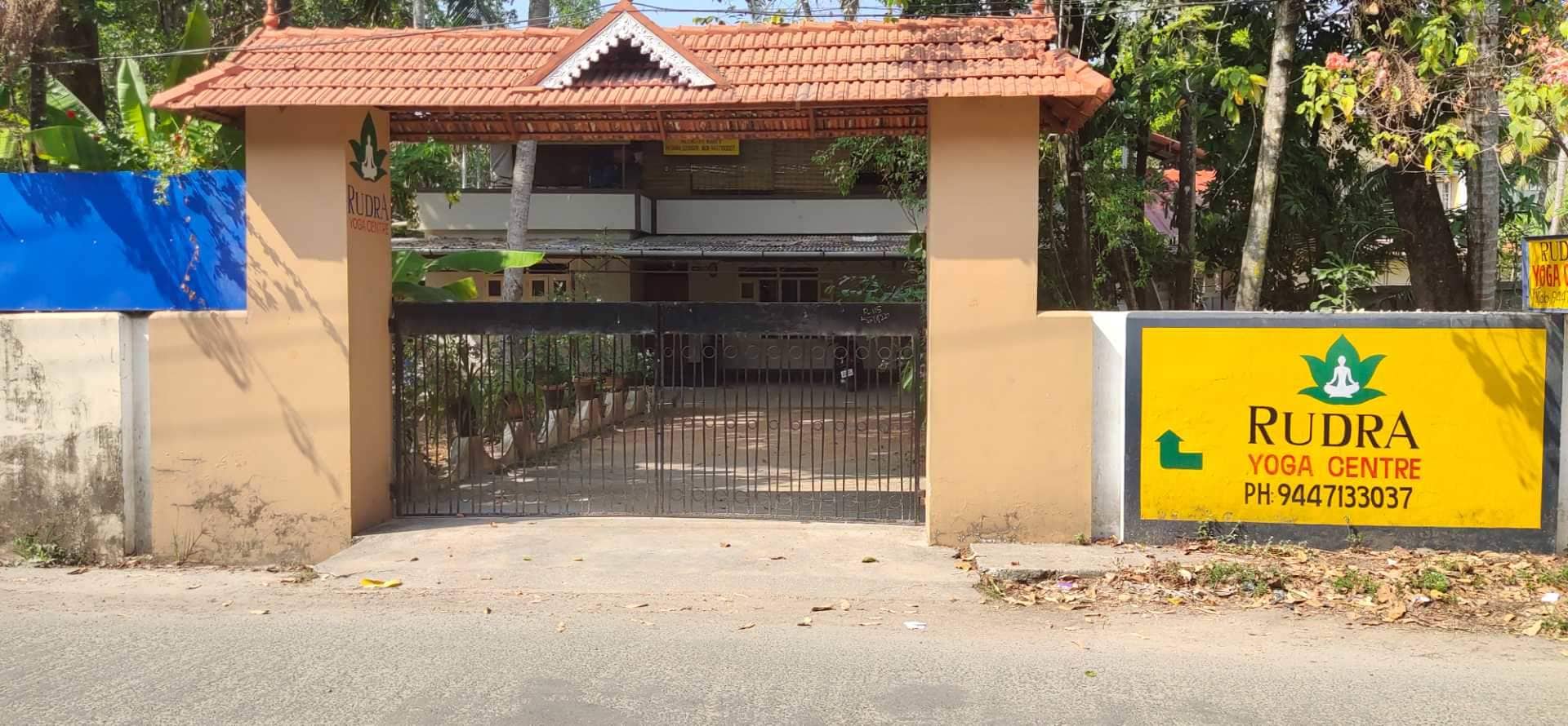 Top Yoga Classes For Aged in Tripunithura Best Yoga Classes For