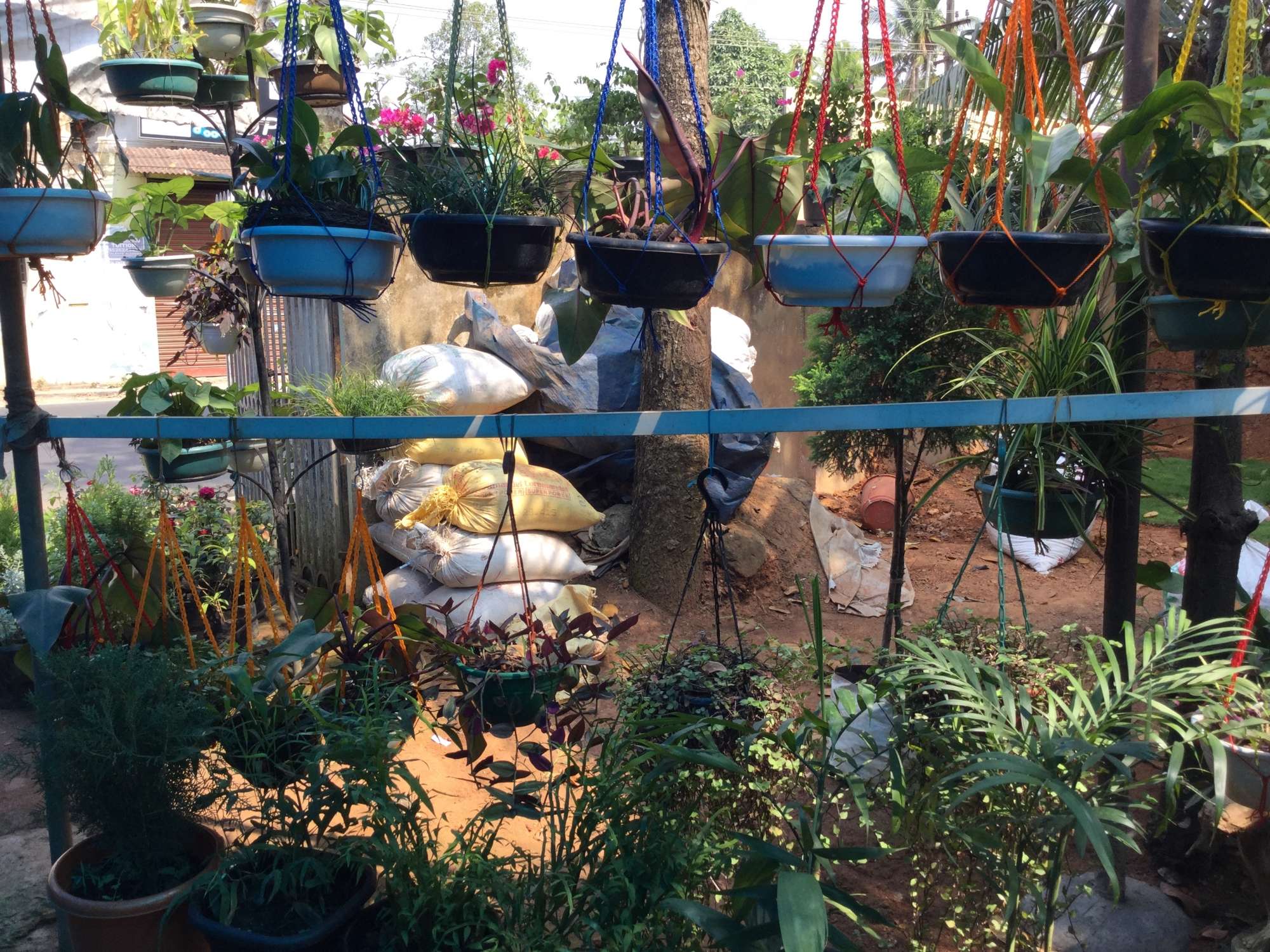 Catalogue Urban Green in Ernakulam Justdial