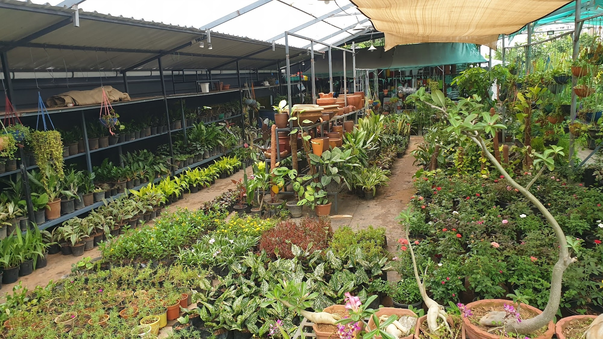 Catalogue - Kochi Agro Farm in Thrikkakara , Ernakulam - Justdial