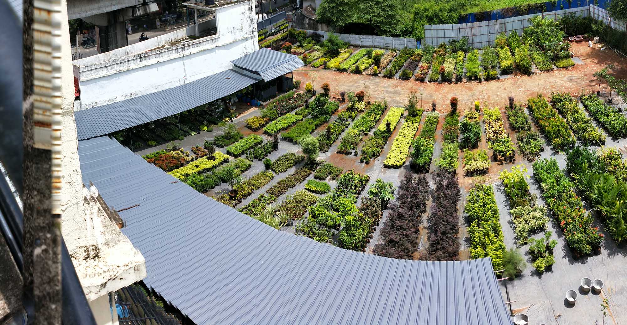 Greenway Gardens Palarivattom Plant Nurseries In Ernakulam Justdial