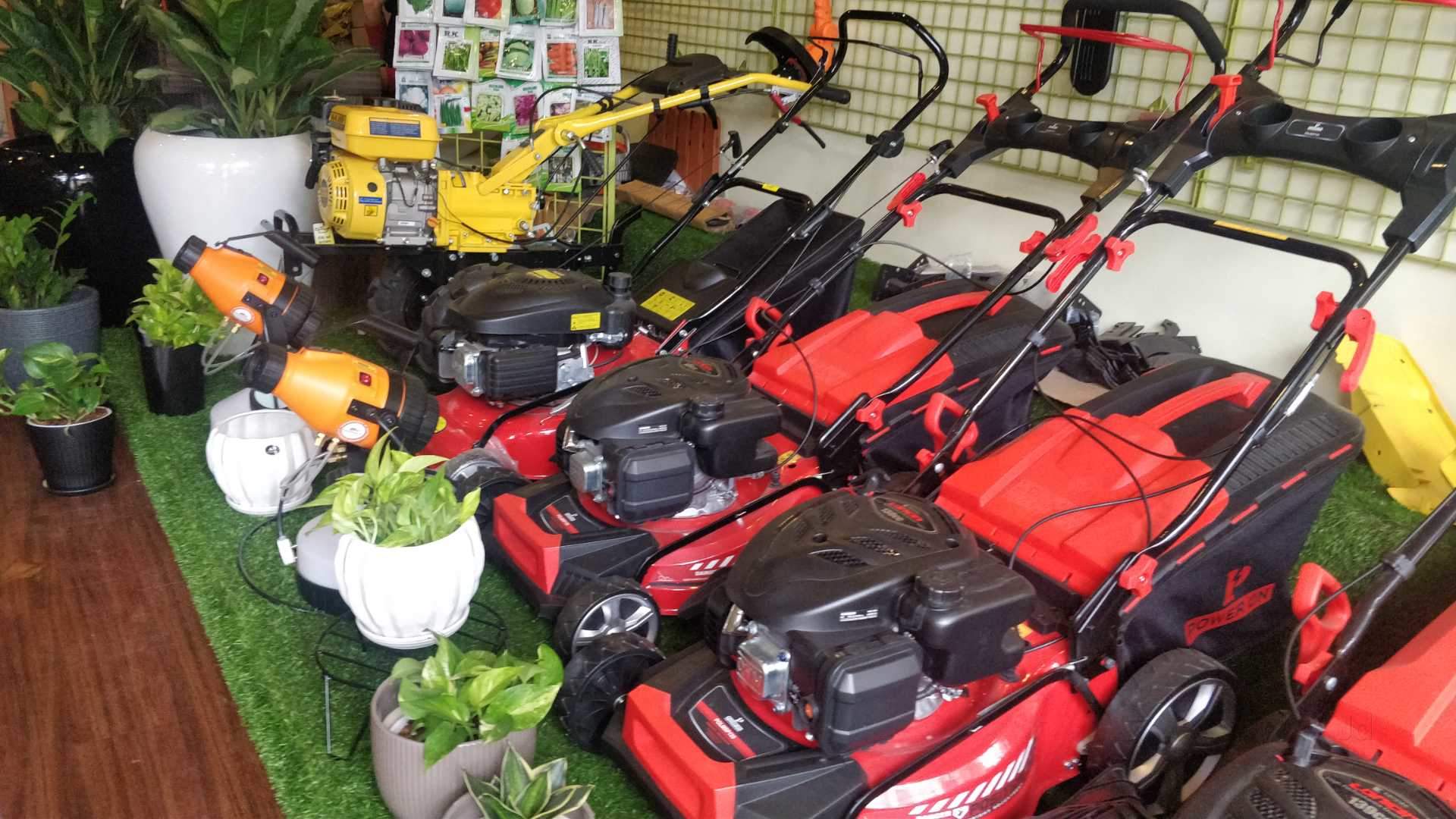 Top 50 Flower Pot Dealers in Ernakulam Best Garden Flower Pot Dealers