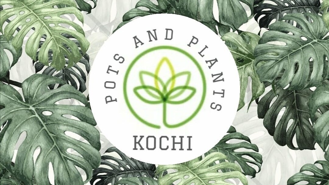 Catalogue Kochi Agro Farm in Thrikkakara , Ernakulam Justdial