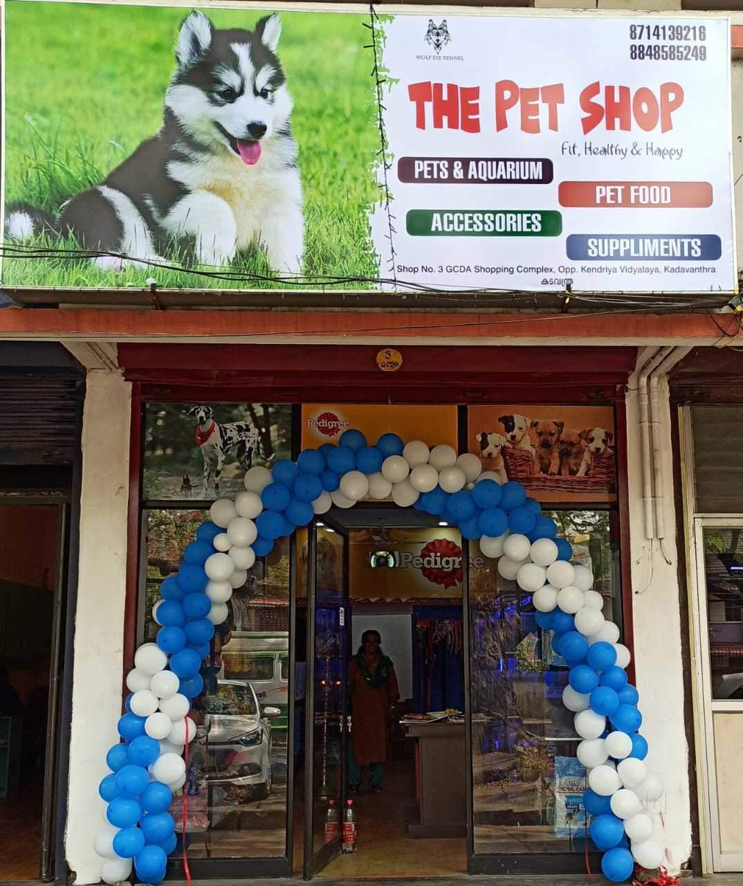 dog food supplies near me