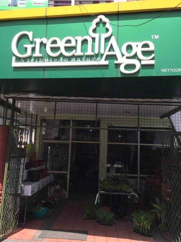 Catalogue Urban Green in Ernakulam Justdial