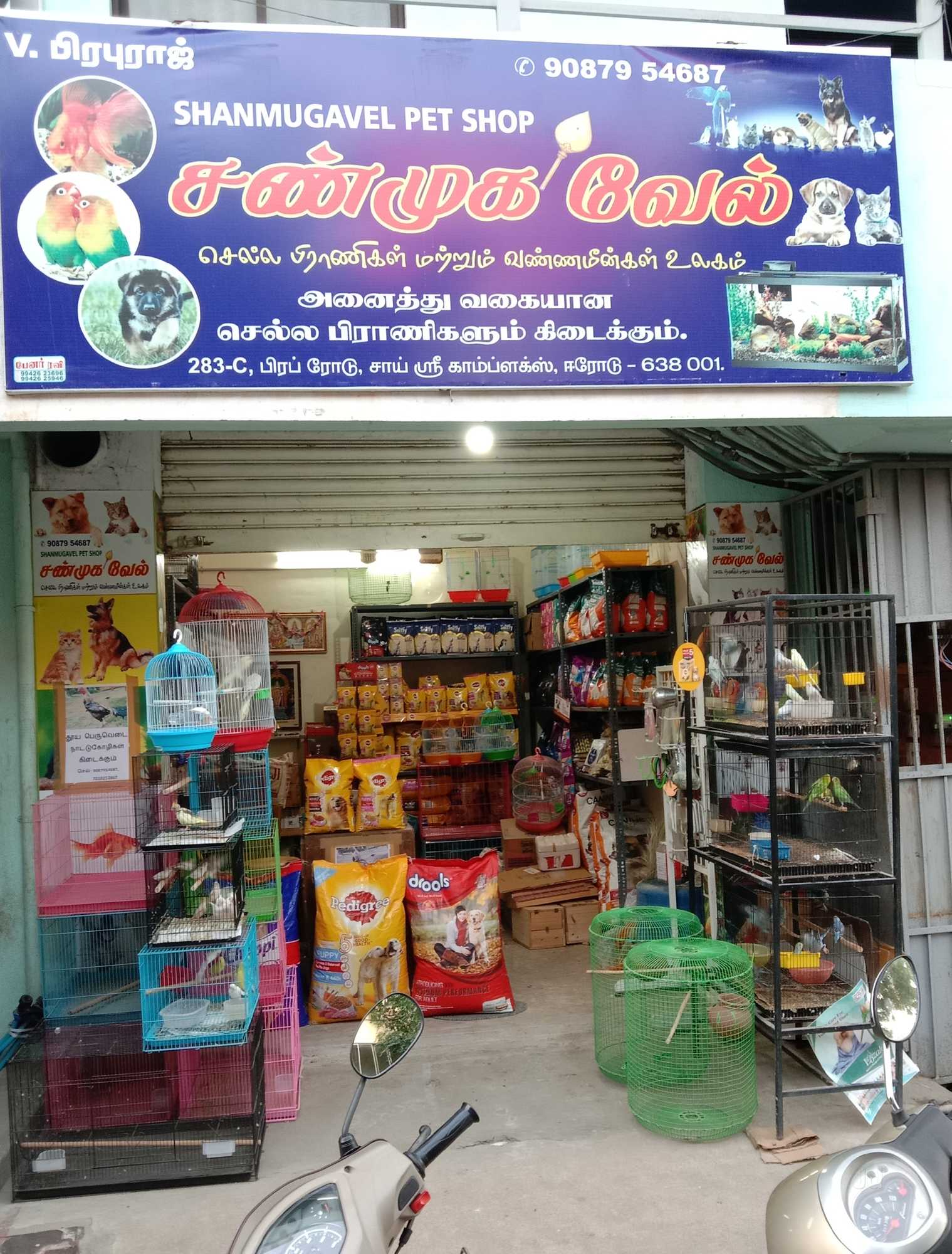 Top 20 Pet Shops For Labrador Dog in Erode Best Labrador Dog Dealers