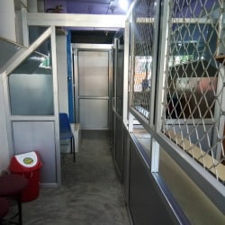 Lab view 6