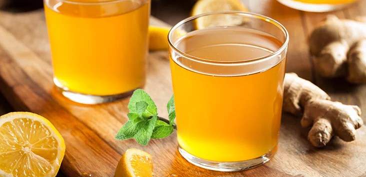 Kombucha SCOBY With Starter Tea Kombucha SCOBY With Starter Chai