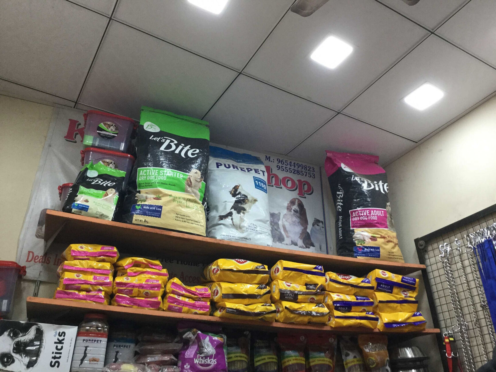 Lovely Pet Shop In Kottivakkam,Chennai Best Aquarium Accessory Dealers