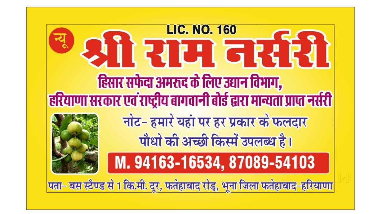Catalogue Thind Nursery Farm in Fatehabad Haryana Justdial