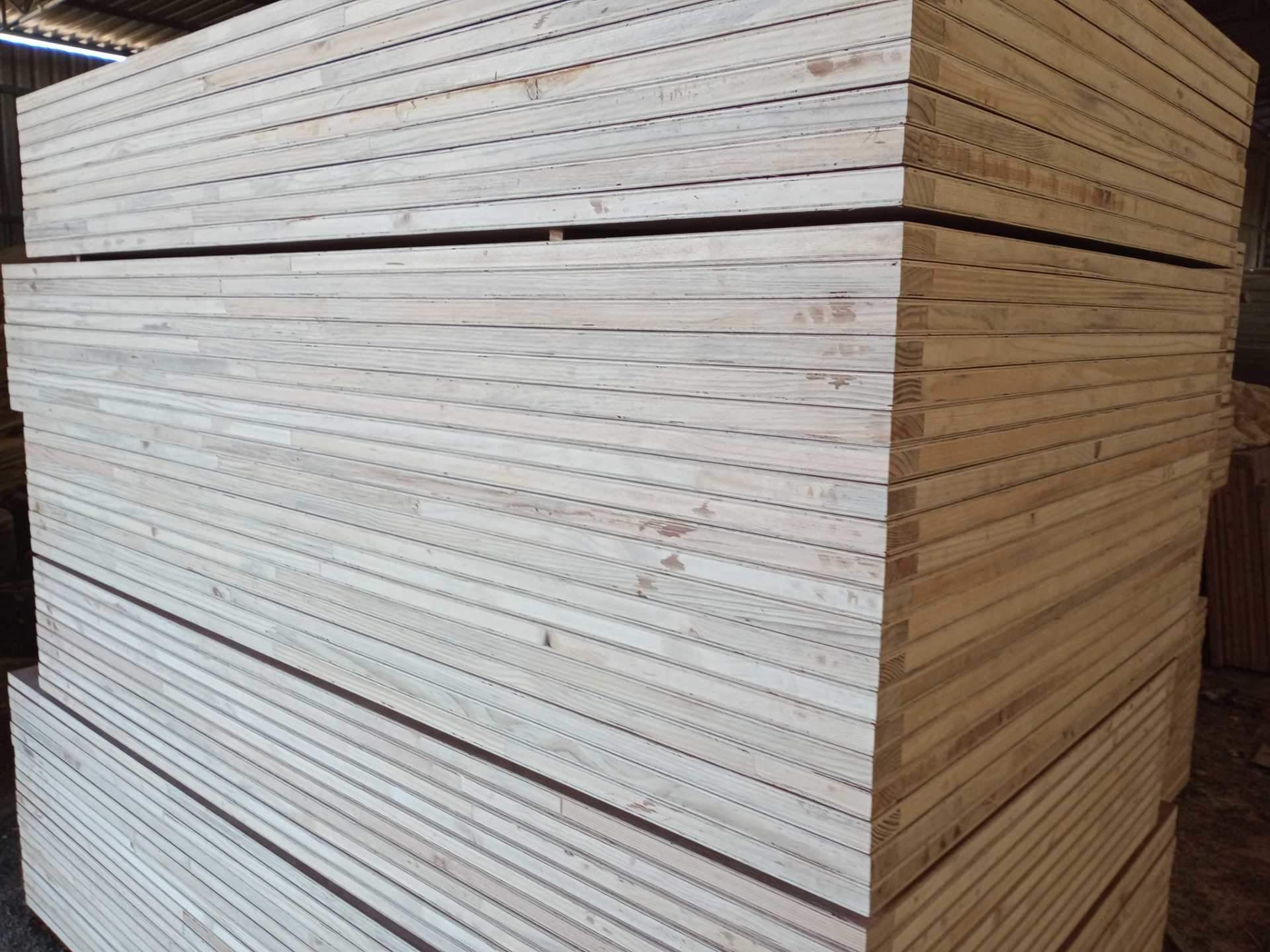 Catalogue Landmark Veneers Pvt Ltd in Gandhidham Ho , Gandhidham