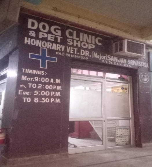 pet shop in indirapuram