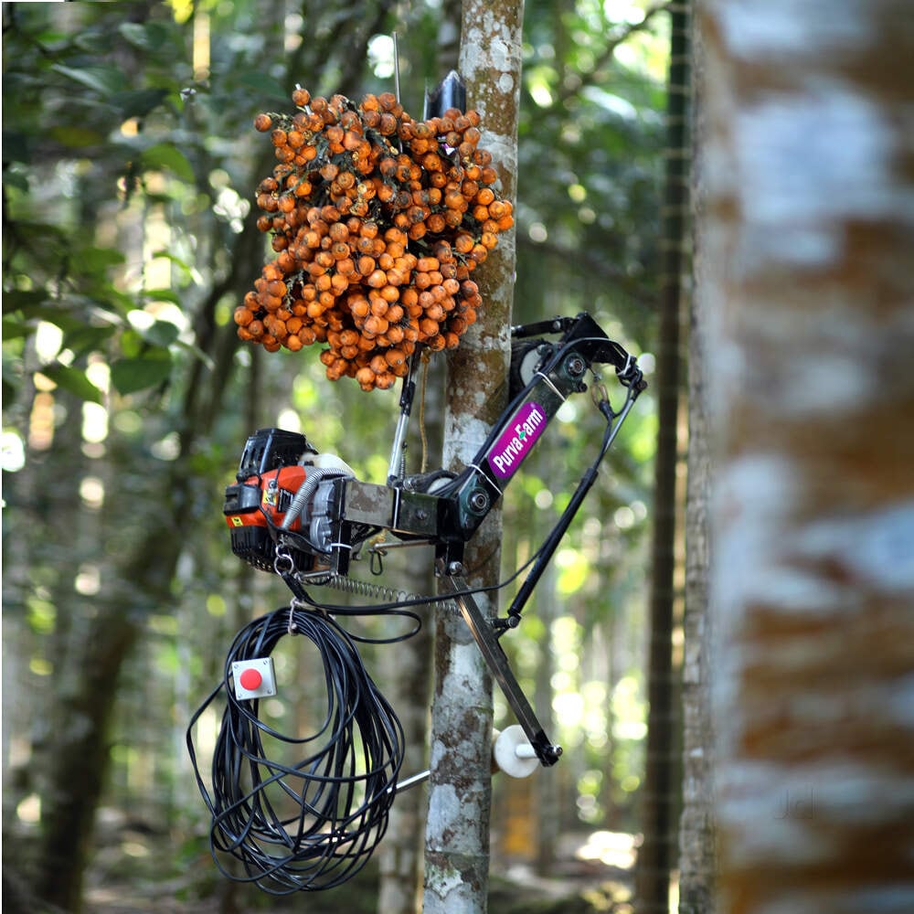 Coconut Tree Climber in Chennai Durable, Efficient Tree Climbing