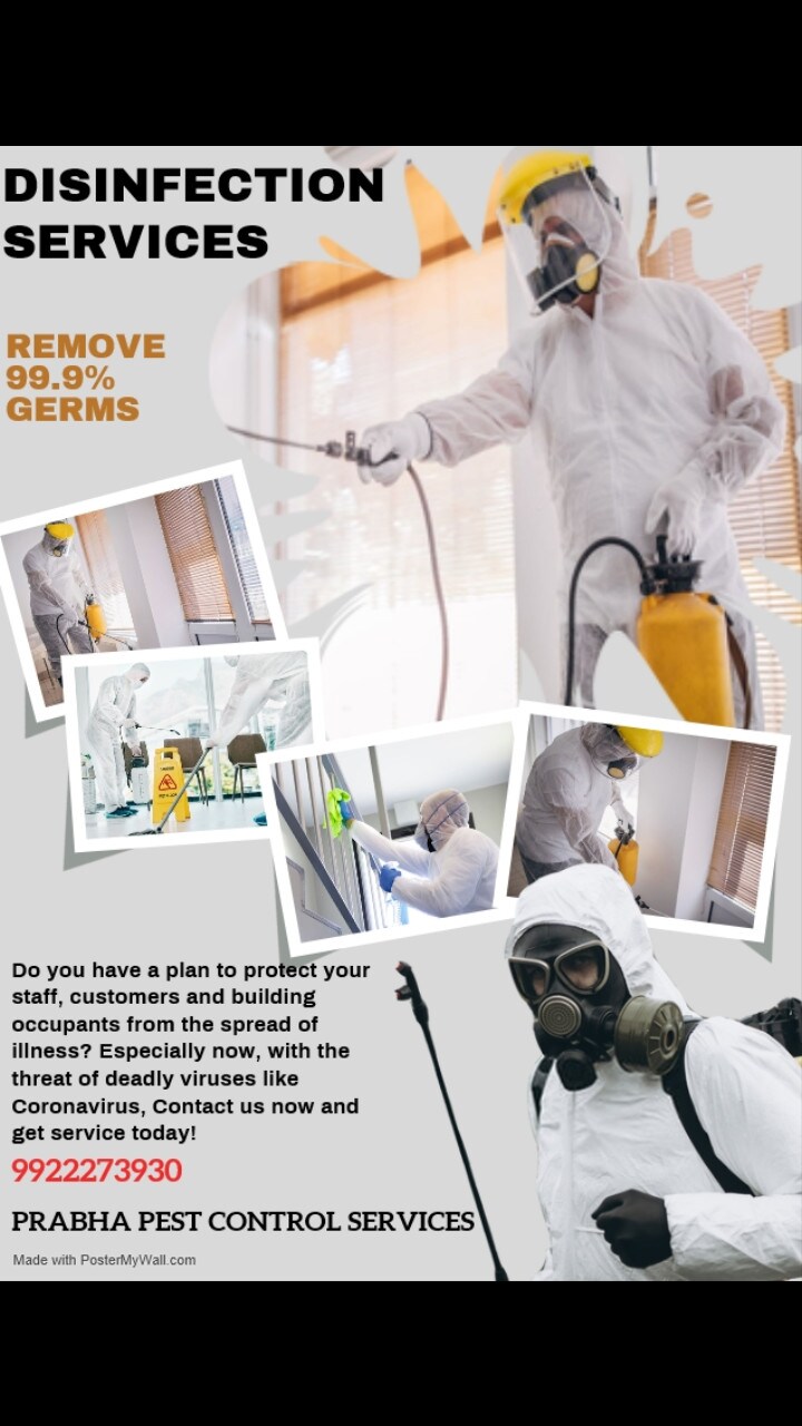 Top 100 Pest Control Services in Goa Best Residential Pest Control Services Justdial