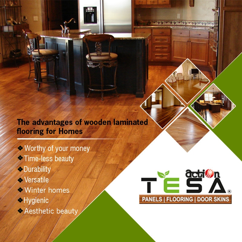 Cp Teak Wood in Indore Premium Quality, Durable Elegant