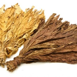 deccan tobacco exports private limited Deccan Tobacco Enterprises in Namburu, Guntur - Best Tobacco Exporters in  Guntur