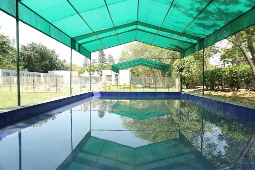 luxury pet resort near me