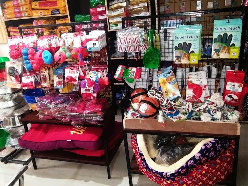 People For Animals Veterinary Doctors Book Appointment Online Veterinary Doctors In Garhi Harsaru Gurgaon Delhi Justdial