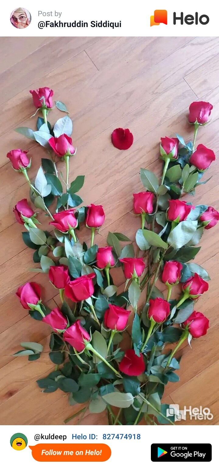 Catalogue Makino Automotive in Haridwar H O , Haridwar Justdial