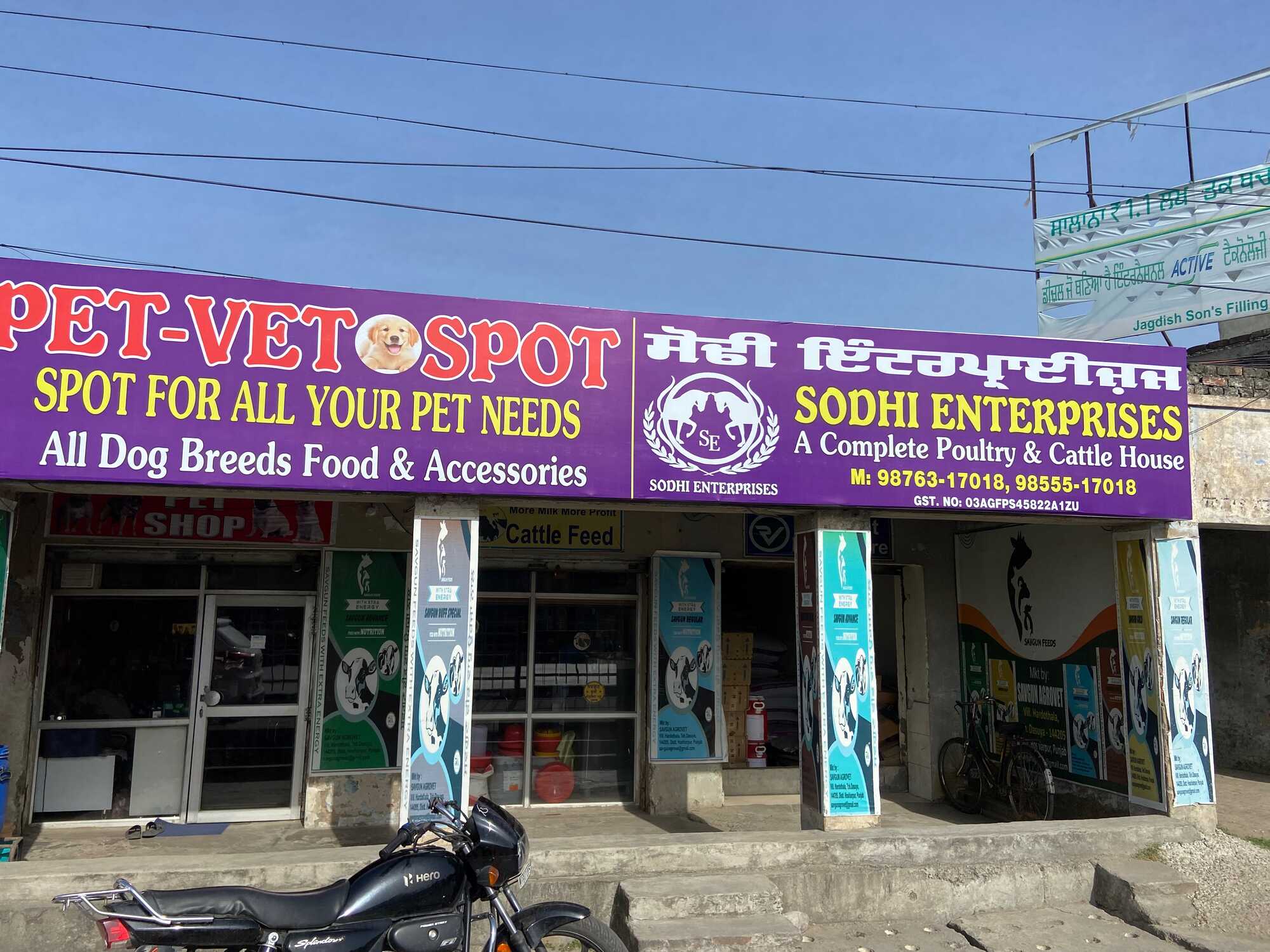 Salmon Treat Pet Food Price Starting From Rs Find Verified