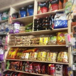 Dog house pet store hotsell