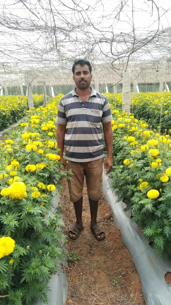 Catalogue Sri Manjunatha Nursery Plants in Appavu Nagar , Hosur