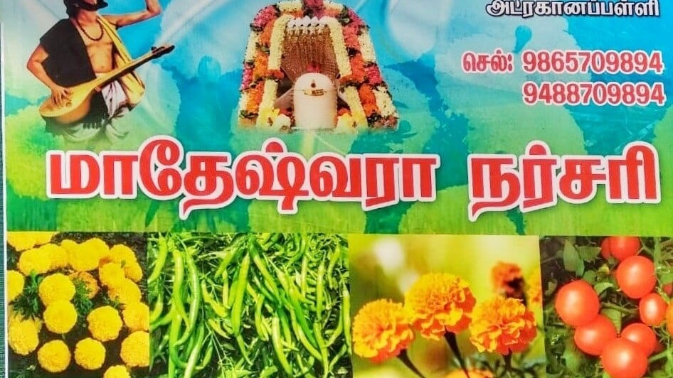 Catalogue Blooming Nursery in Hosur Justdial