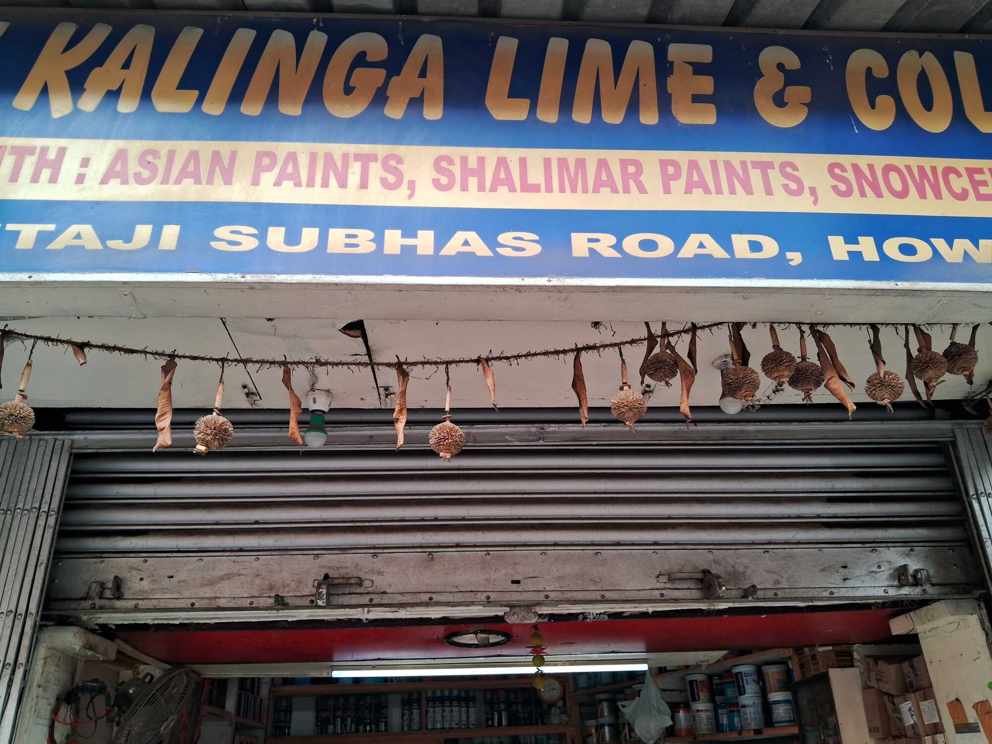 Interior Paint in Howrah Vibrant, Durable Eco-Friendly Options