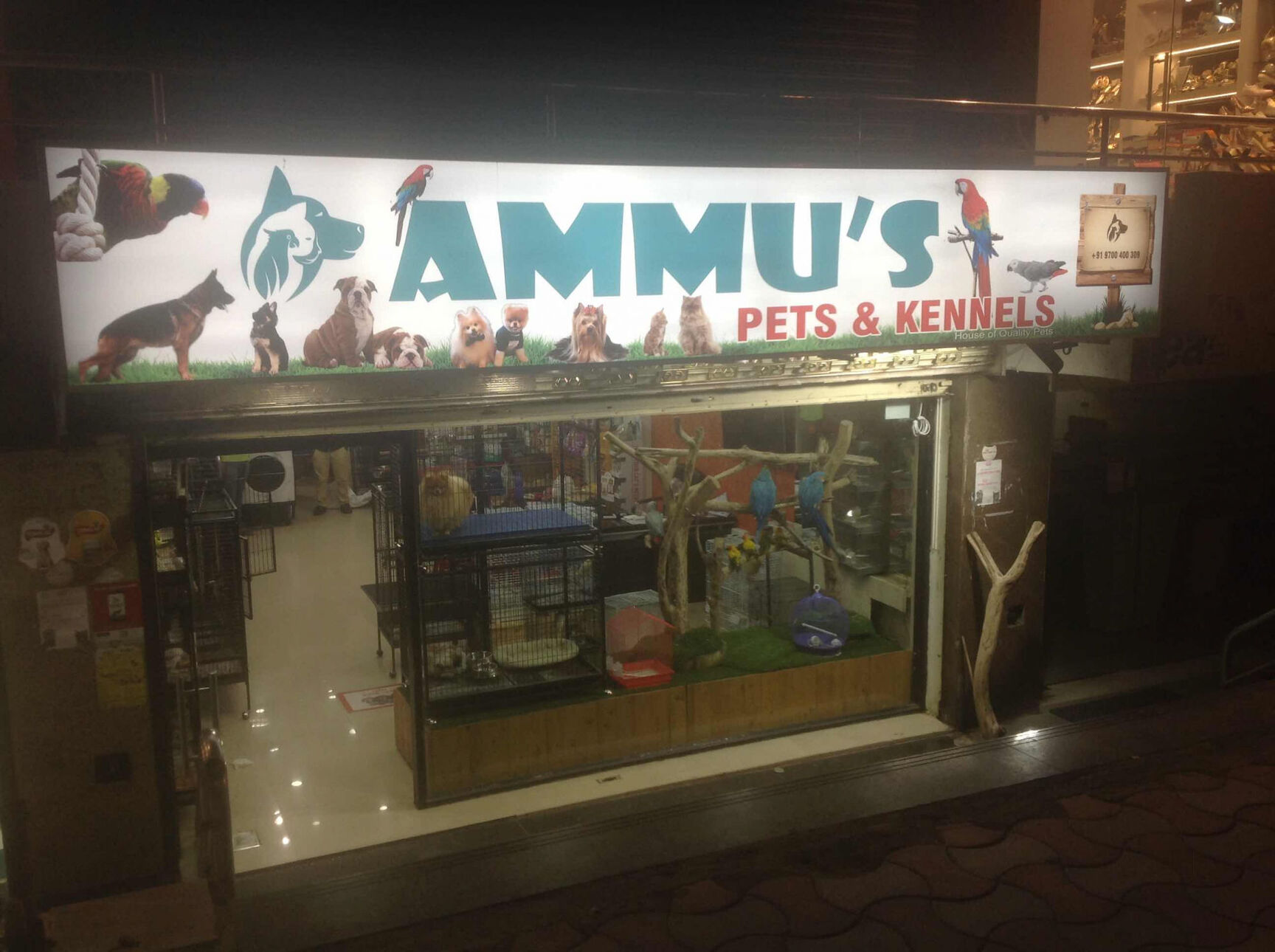 Top 20 Pet Shops For Dog in Gachibowli Best Pet Store Justdial