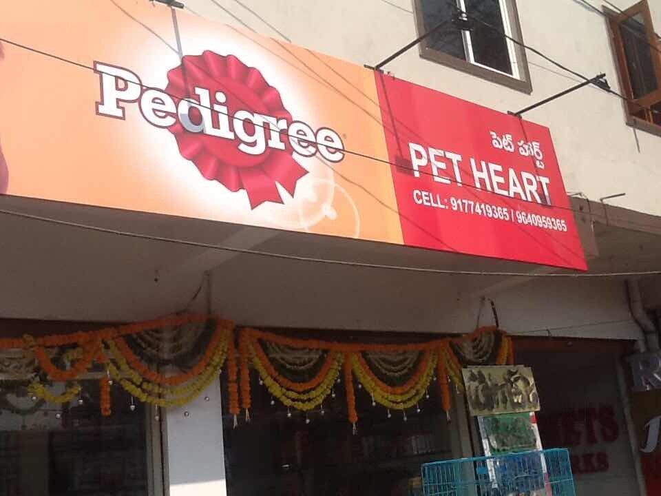 Top 20 Pet Shops For Golden Retriever Dog in Hyderabad Best Pet