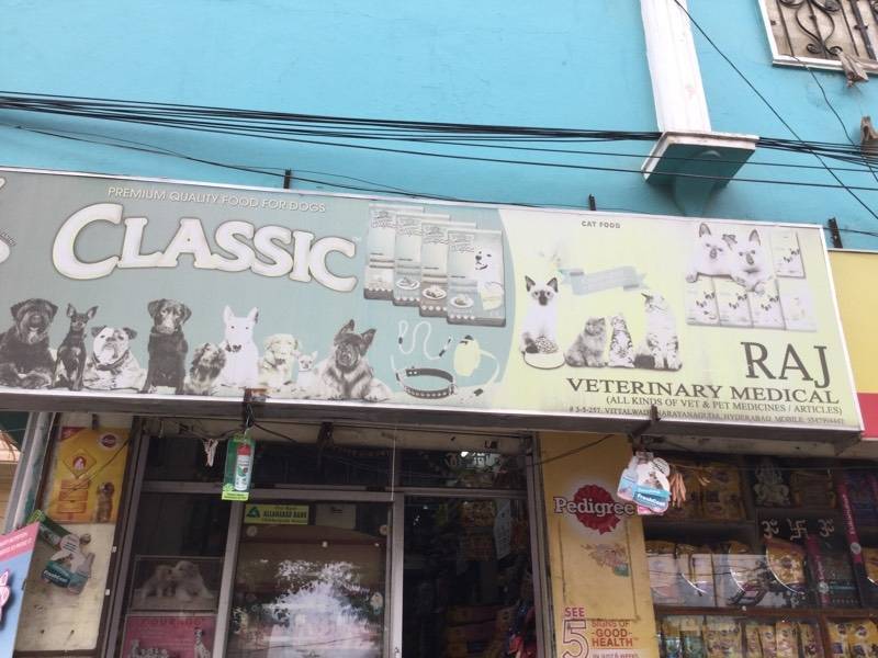 narayanguda animal hospital