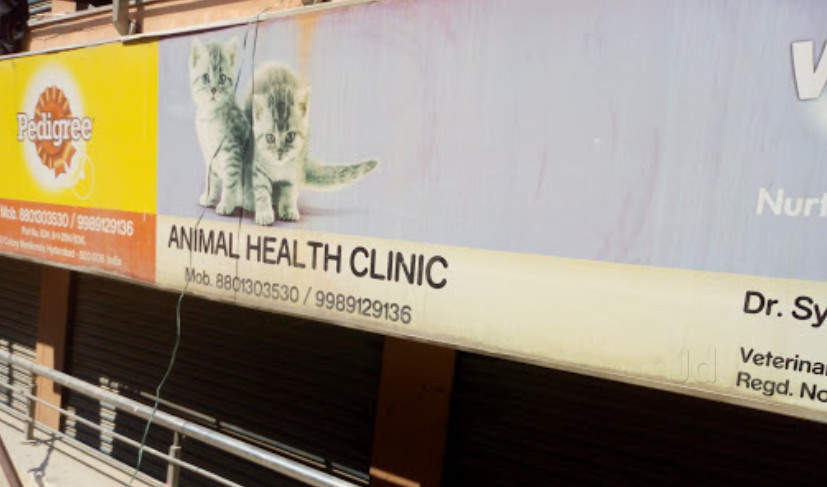 Doggy And Cat Care Clinic Manikonda Veterinary Hospitals In Hyderabad Justdial