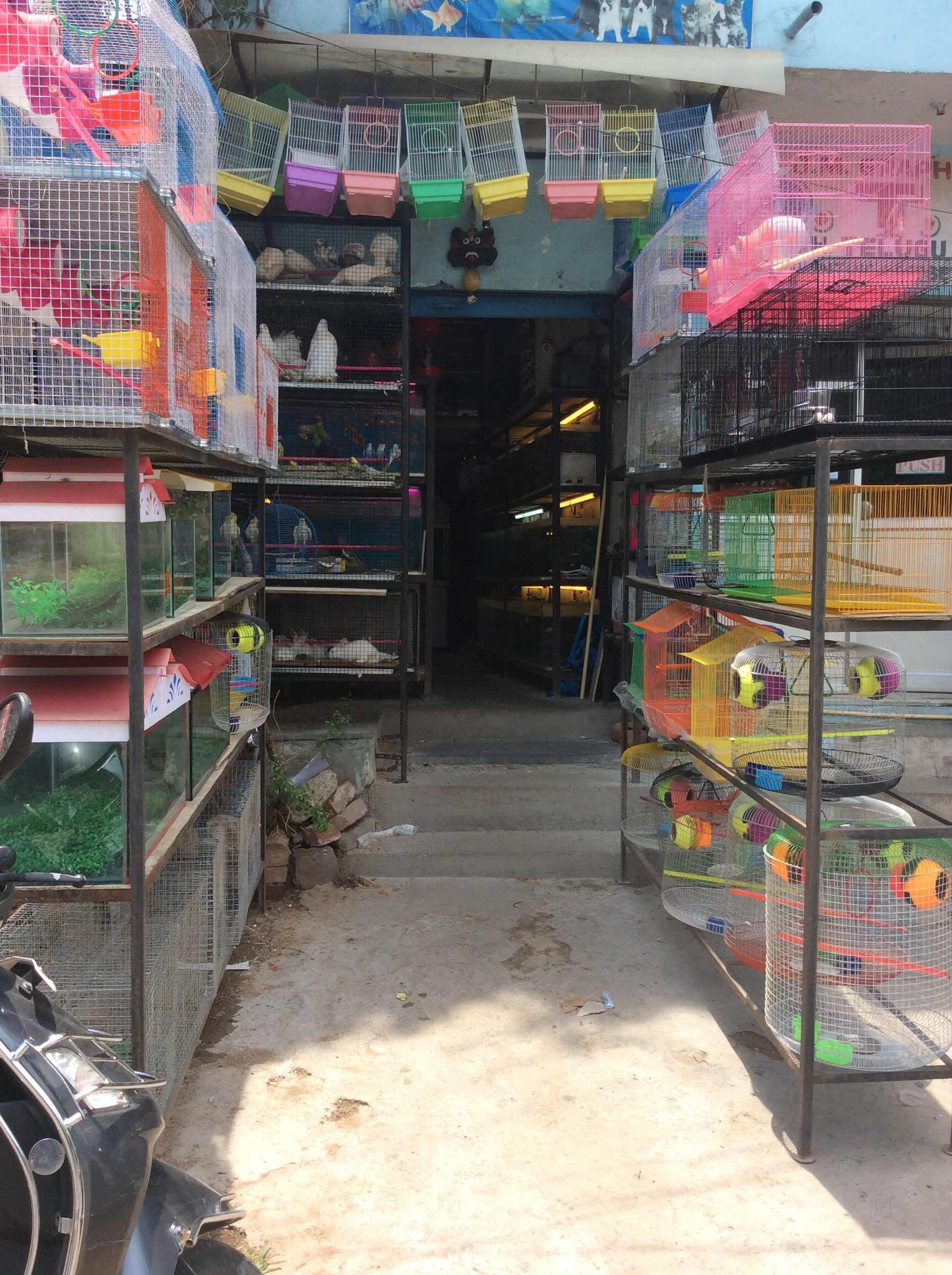 Top 100 Cleaning Services For Aquarium in Hyderabad Justdial