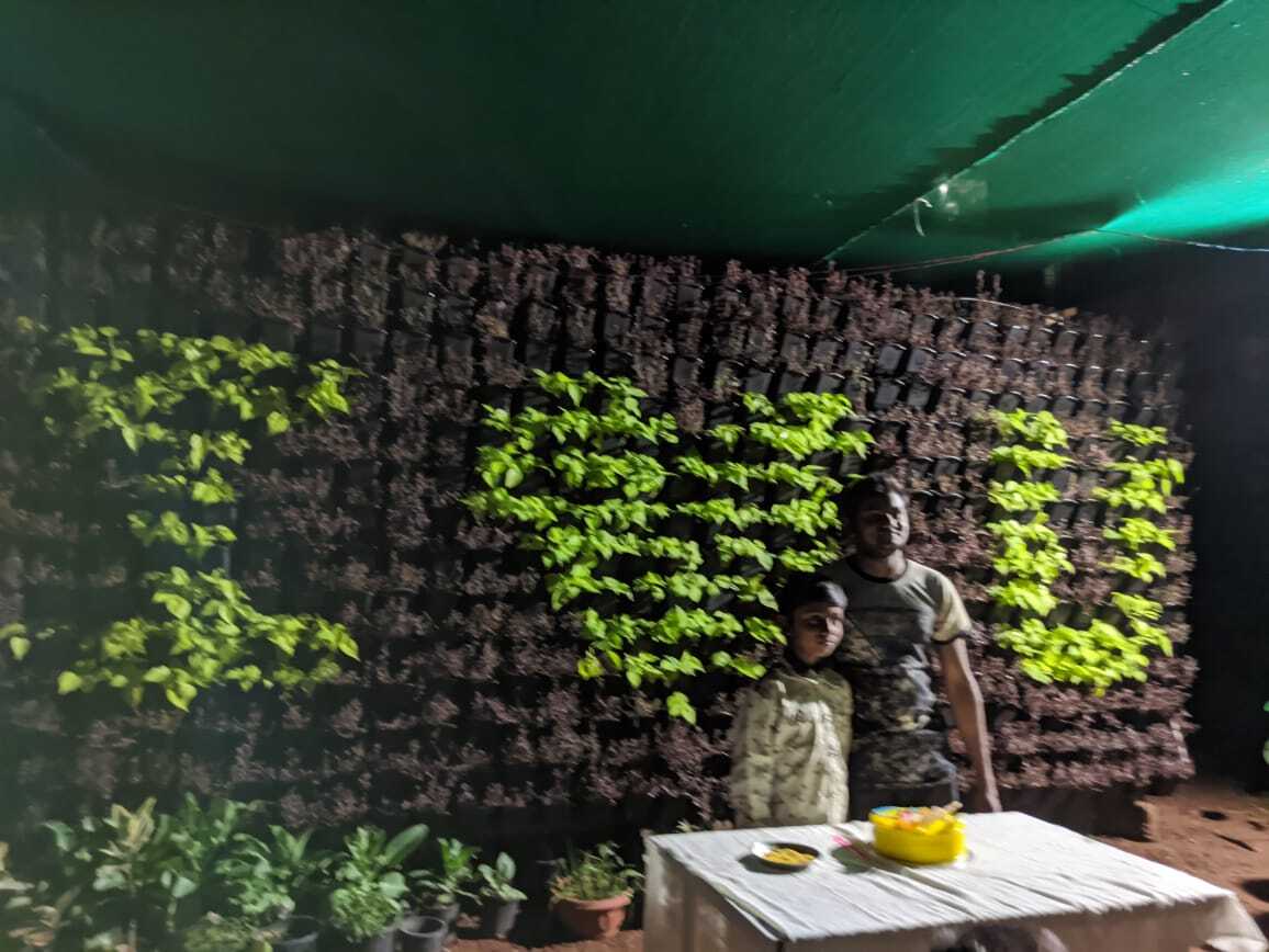 Top Home Gardening Services in Hyderabad Best Home Garden Services