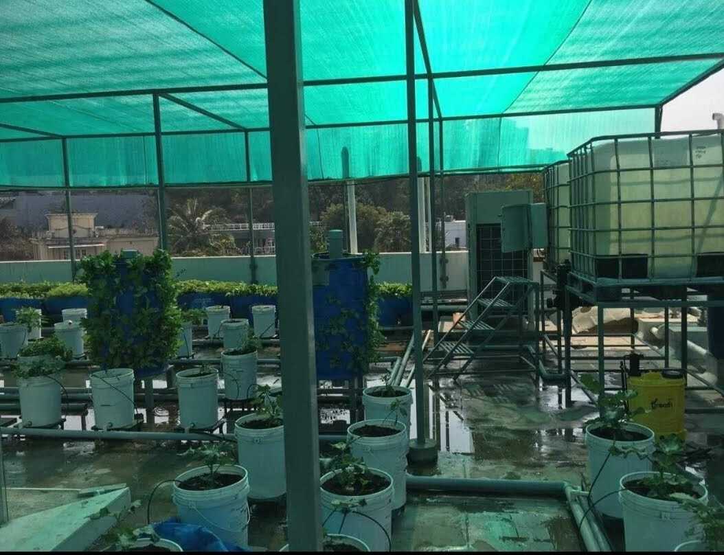 Top Home Gardening Services in Hyderabad Best Home Garden Services