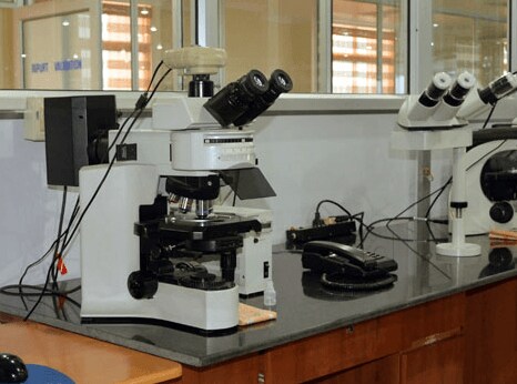 Lab view 6