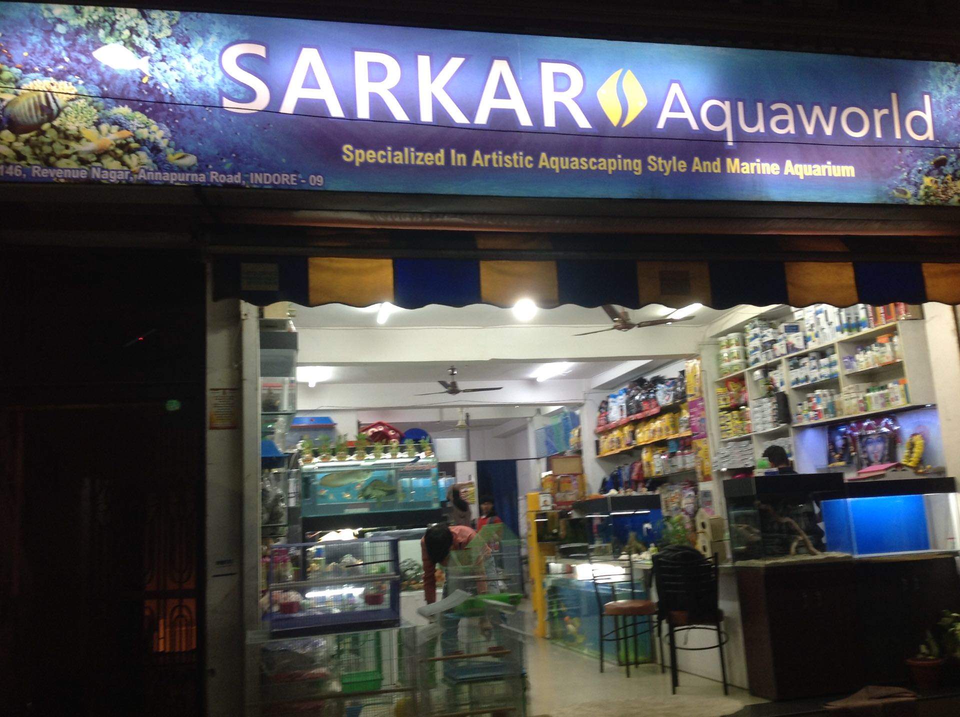 Top 30 Pet Shops For Birds in Indore Best Bird Shops Justdial